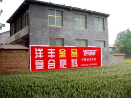 仪征如何让墙体广告展现最大化效果