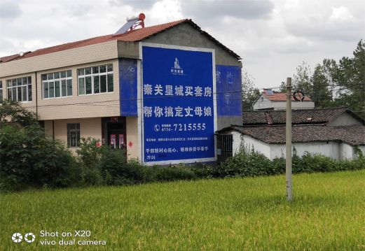 仪征决定墙体广告价格的因素有哪些？