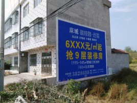 仪征墙体广告质量分析