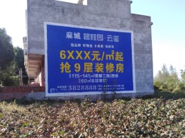 仪征品牌公司青睐的墙体广告