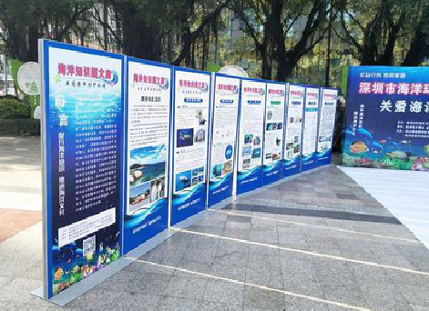 仪征KT板的种类和知识。